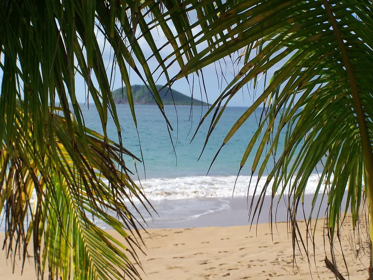 Holiday home Gites Les Calebassiers Deshaies Guadeloupe