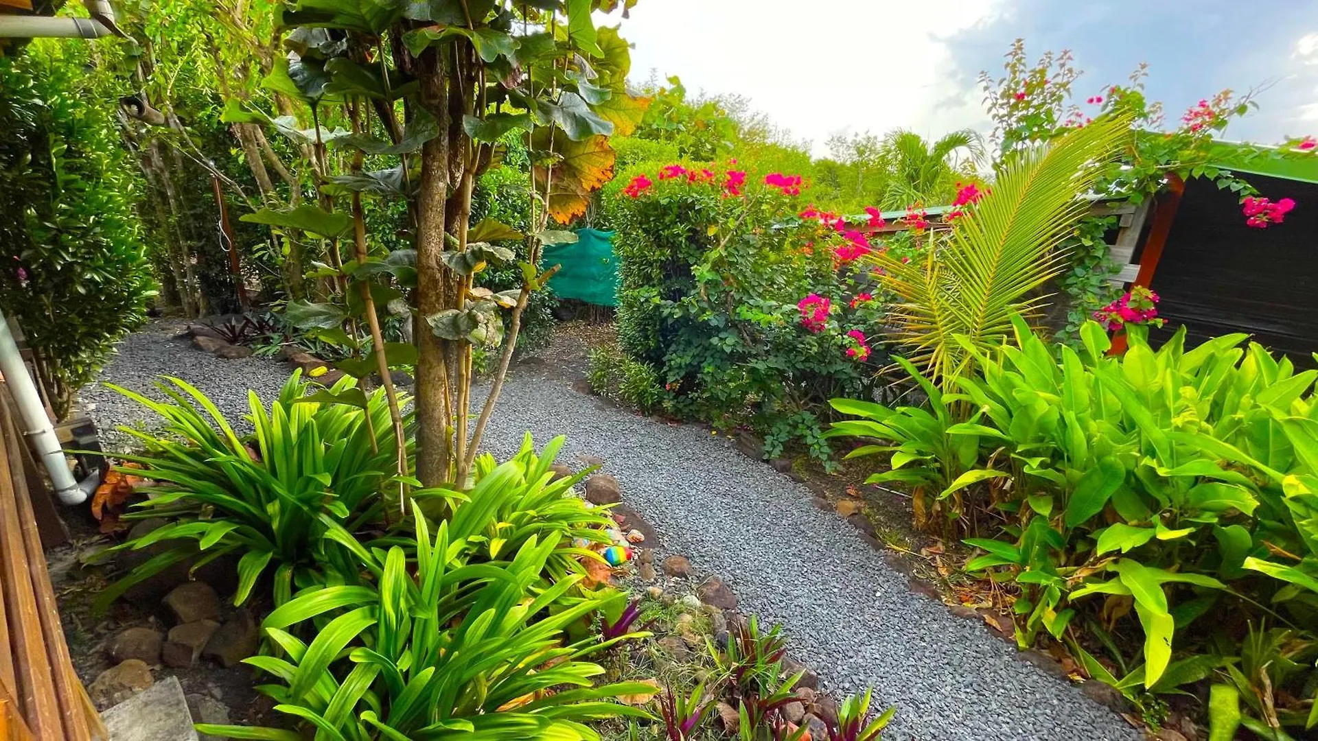 Gites Les Calebassiers Deshaies 0*,  Guadeloupe