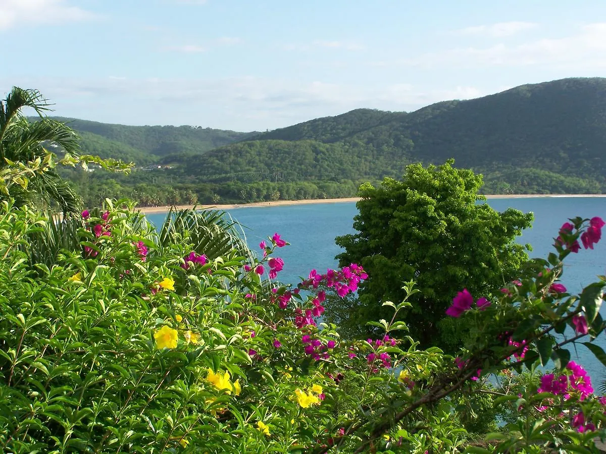 Gites Les Calebassiers Deshaies Guadeloupe